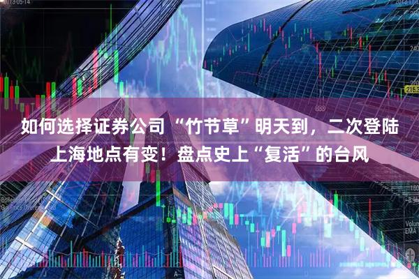 如何选择证券公司 “竹节草”明天到，二次登陆上海地点有变！盘点史上“复活”的台风